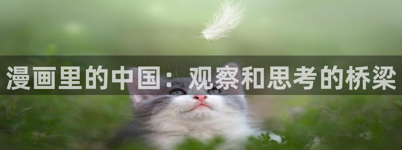 yy漫画是什么：漫画里的中国：观察和思考的桥梁